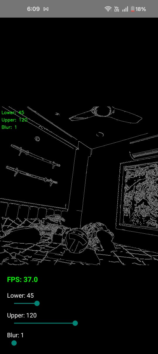 Edge detected image 4